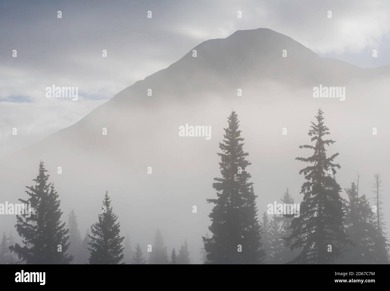 Nebliger Morgen, Molas Pass, San Juan Mts, Rockies, CO, USA, von Bruce Montagne/Dembinsky Photo Assoc Stockfoto