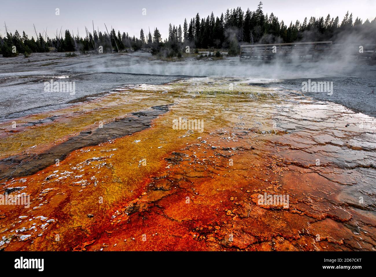 Schwarz-Pool am West Thumb Geyser Basin, Yellowstone-Nationalpark, Wyoming, USA Stockfoto