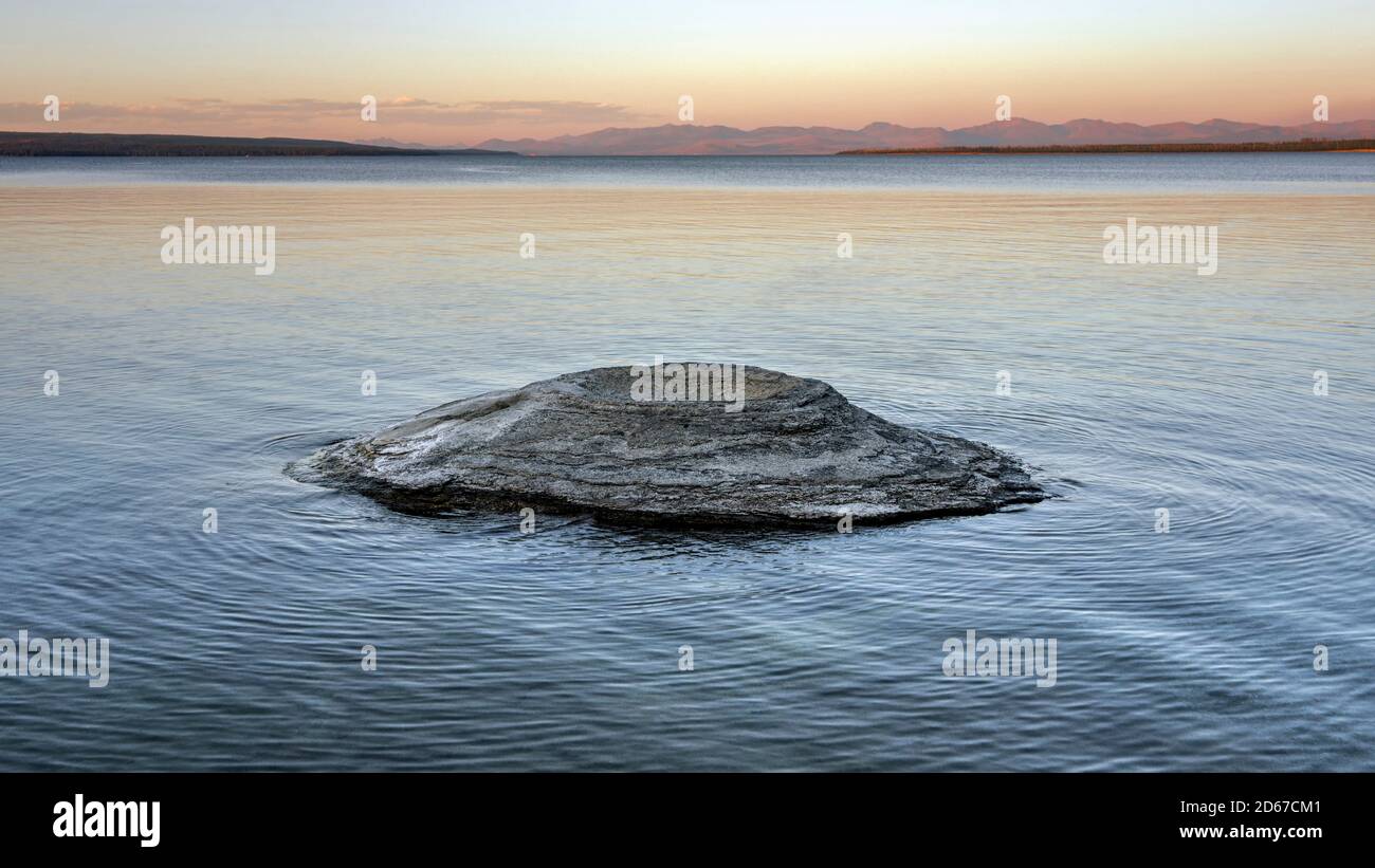 Angelkegel Geysir im West Thumb Geyser Basin, Yellowstone National Park, Wyoming, USA Stockfoto