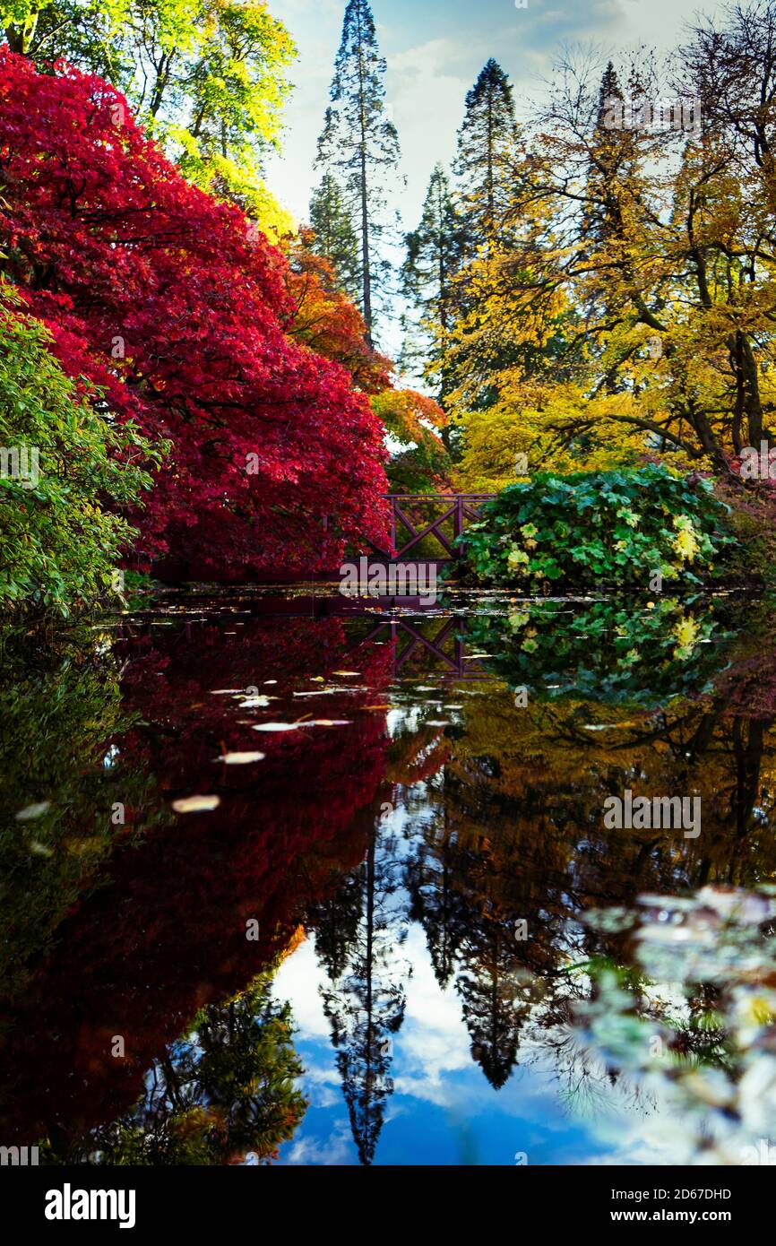 ben mehr botanischen Garten Stockfoto