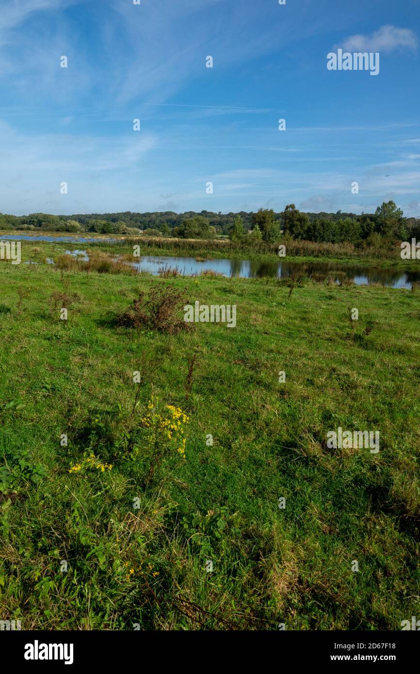 Überflutete Wasserwiese Fluss Wensum Stockfoto