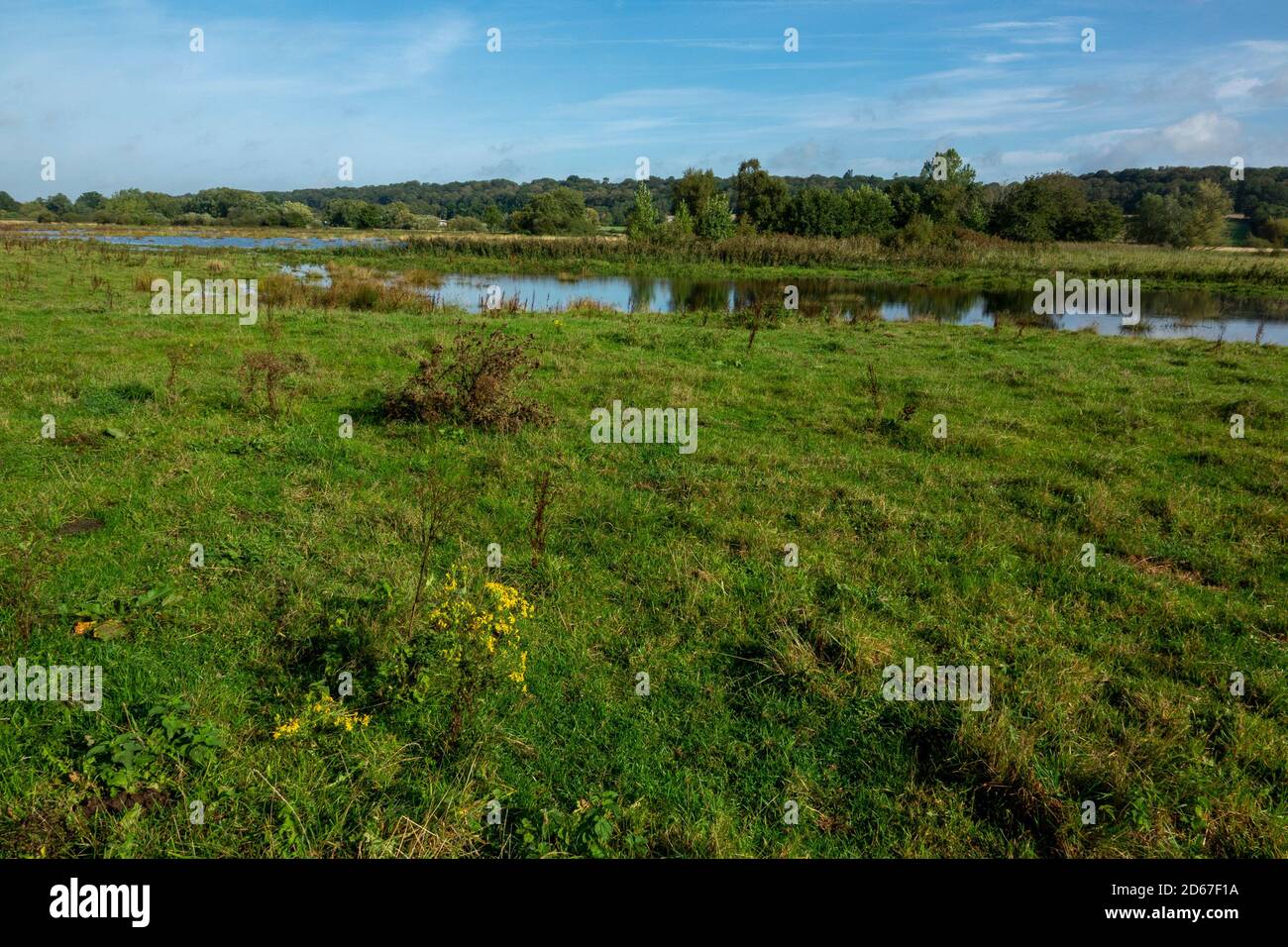 Überflutete Wasserwiese Fluss Wensum Stockfoto