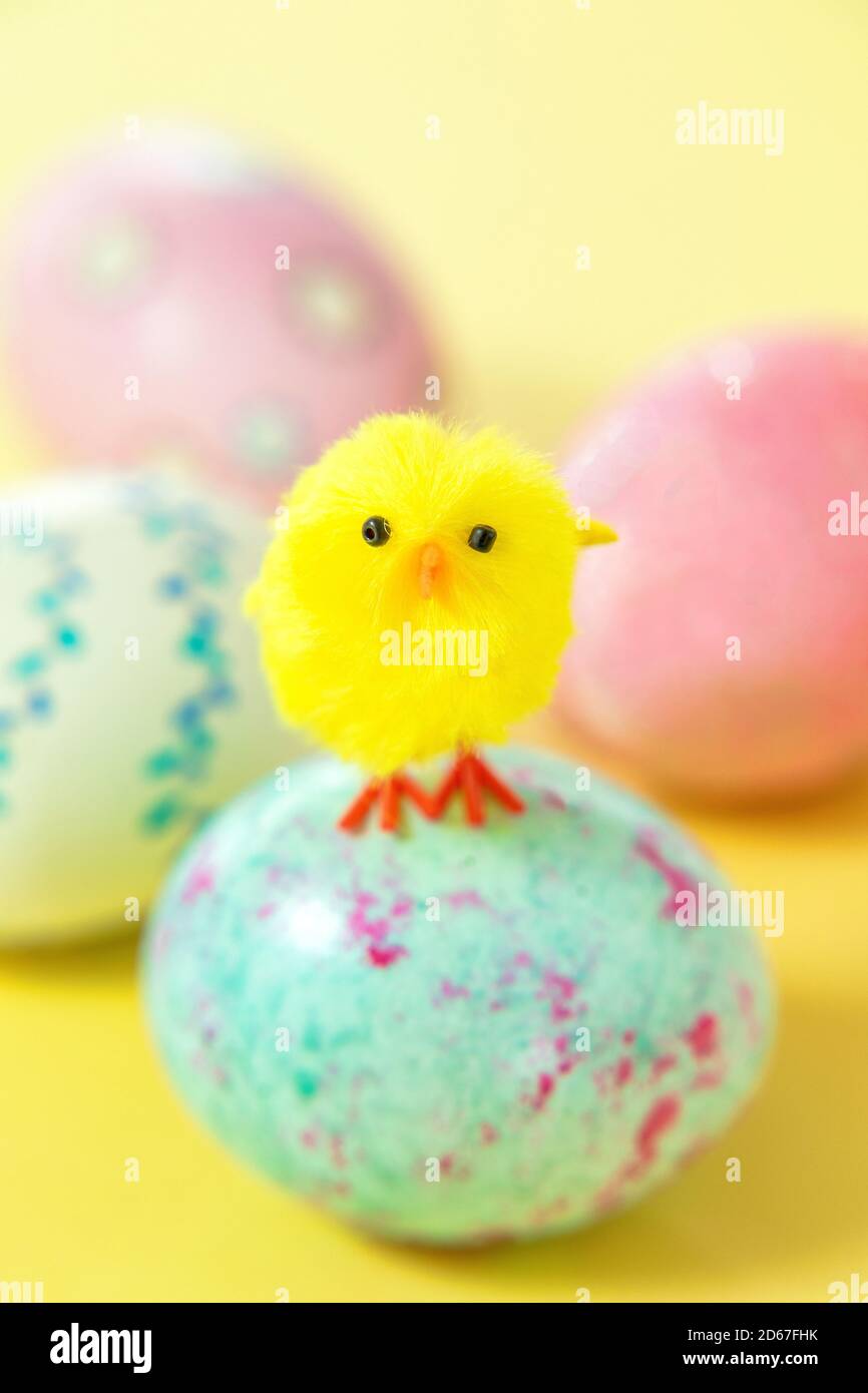 Gelbes Küken steht auf Osterei Stockfoto