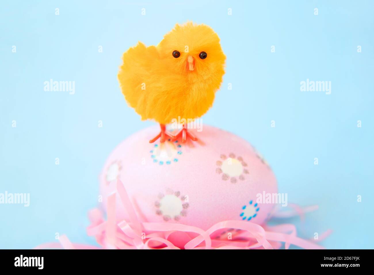 Orange Küken stehen auf einem rosa Osterei Stockfoto