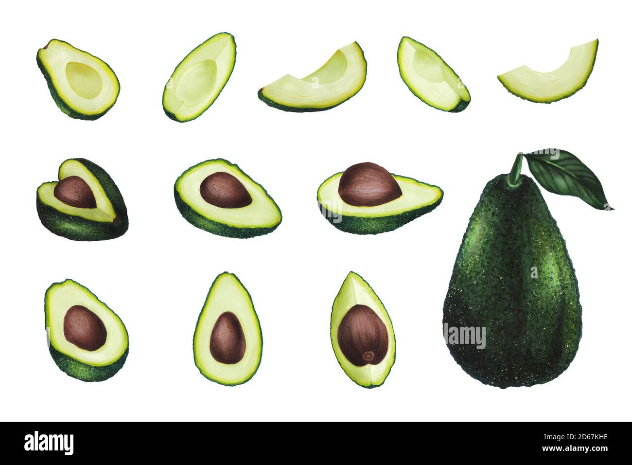 Set von Avocado mit Blatt isoliert auf weißem Hintergrund. Keto Diät Handzeichnung. Bio-Lebensmittel. Gesunde Ernährung Konzept, Paleo Produkte, Label, Banner Stockfoto
