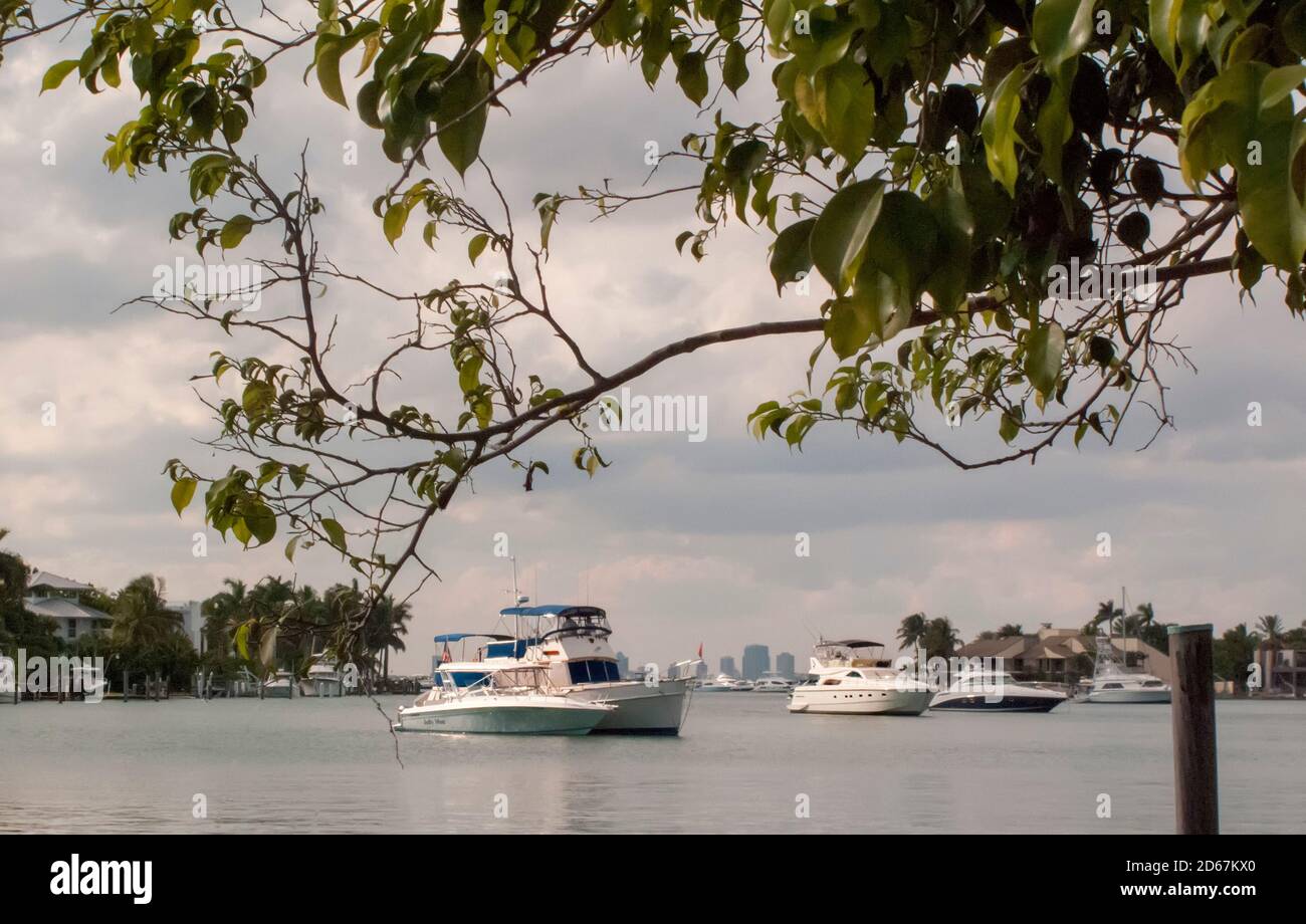 Boote vor Anker vor Miami, Florida, USA Stockfoto