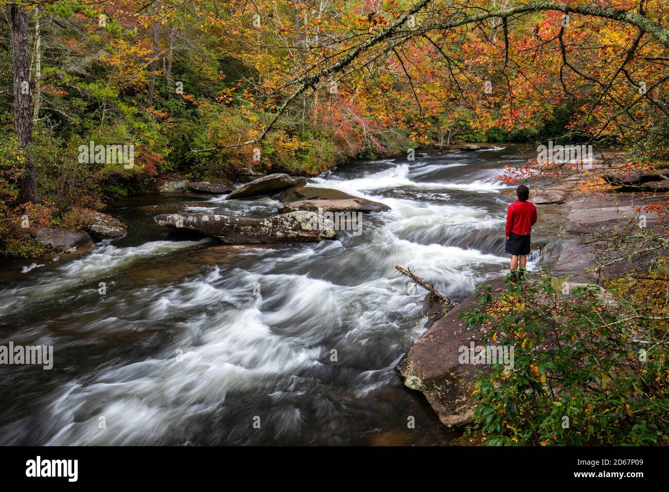 Wanderer mit Blick auf eine Kaskade auf dem Little River - Corn Mill Shoals Trail, DuPont State Recreational Forest, Cedar Mountain, North Carolina, USA Stockfoto