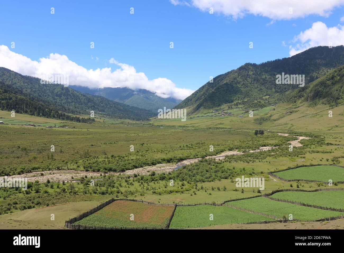 Schöne Phobjikha Tal in Bhutan Stockfoto