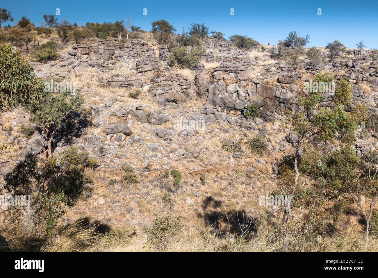 Kalksteinaufschlüsse, Riversleigh-Weltkulturerbe Fossile Stätte, Boodjamulla (Lawn Hill) National Park Stockfoto