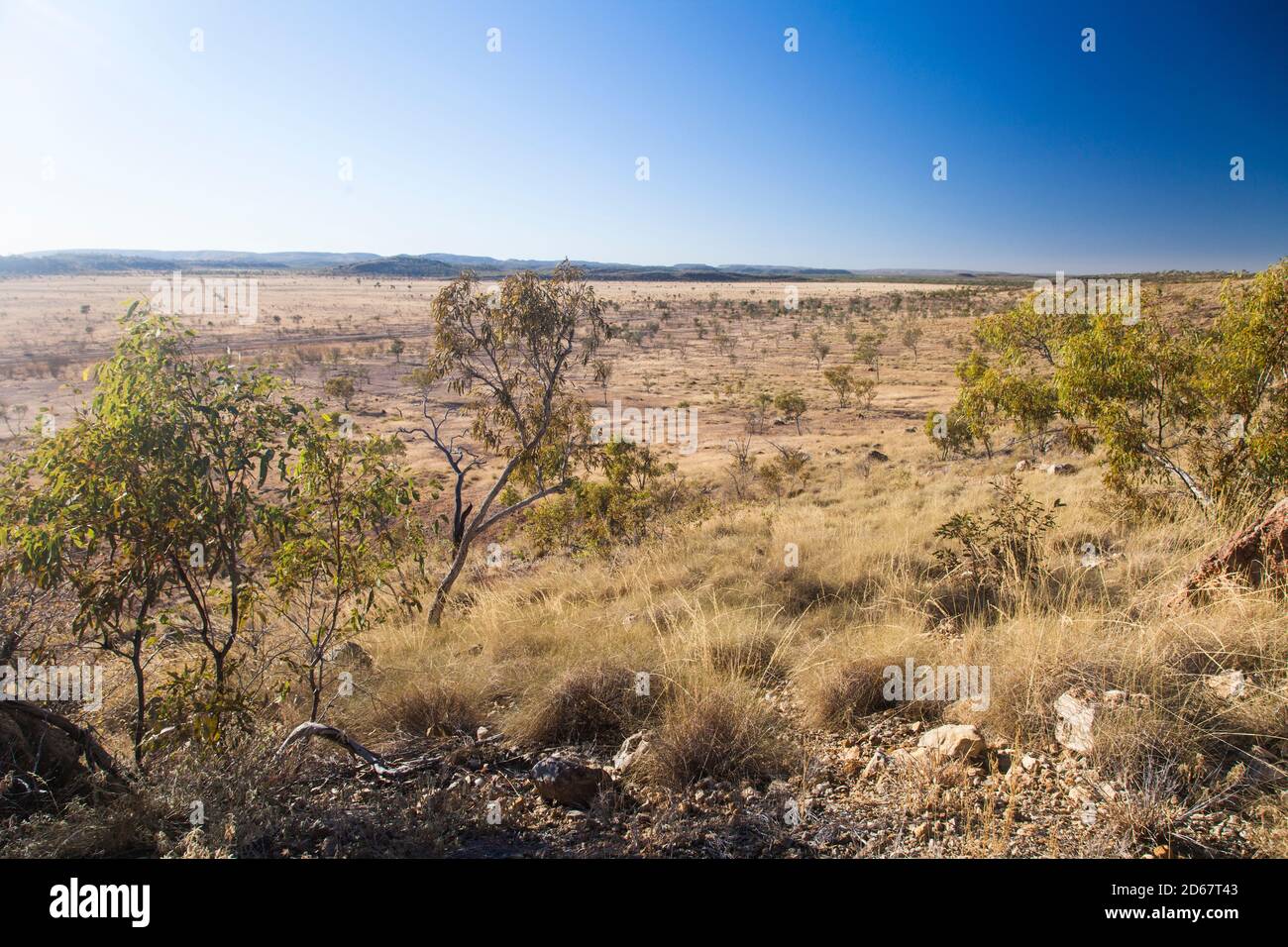 Tropische Savanne, Riversleigh World Heritage Fossil Site, Boodjamulla (Lawn Hill) National Park Stockfoto