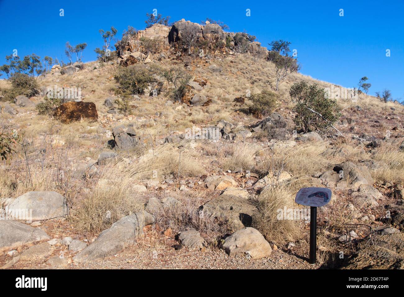 Kalksteinausbiss von Riversleigh D World Heritage Fossil Site, Boodjamulla (Lawn Hill) National Park Stockfoto