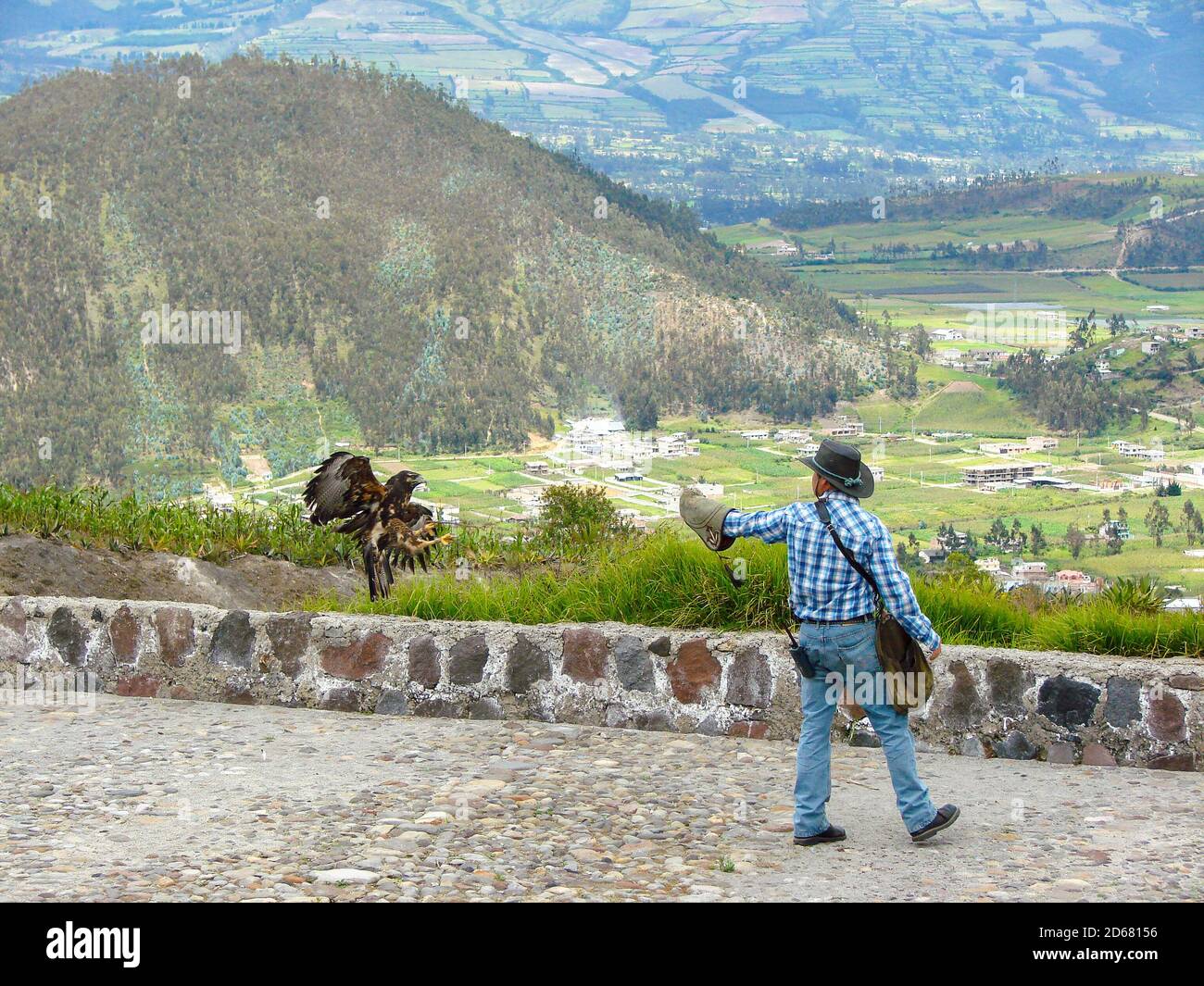 OTAVALO, ECUADOR - 16. Feb 2008: Otavalo, Imbabura / Ecuador - 15 2008. Februar: Hispanic man spaziert, während man eine Flying Falcon gegen den Andenberg fängt Stockfoto