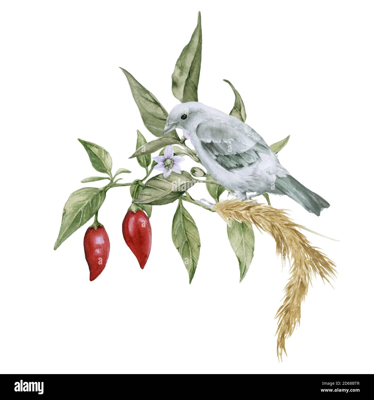 Vogel Auf Einem Ast Ausgeschnittene Stockfotos Und Bilder Alamy