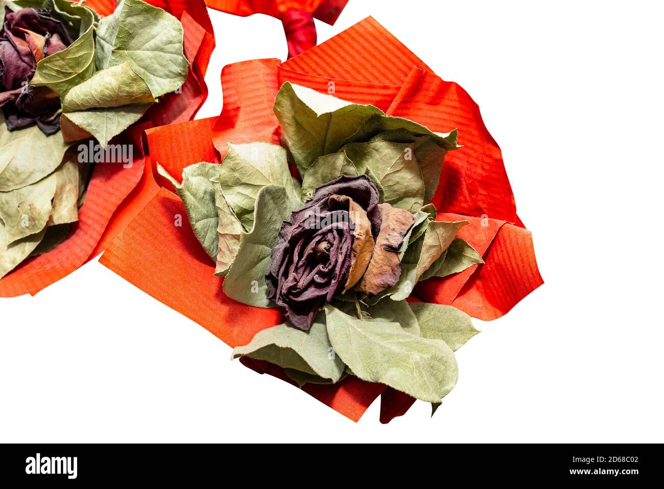 Eine verwelkte rote Rose mit einem großen roten Band, isoliert auf einem weißen Hintergrund mit einem Schnittpfad. Stockfoto