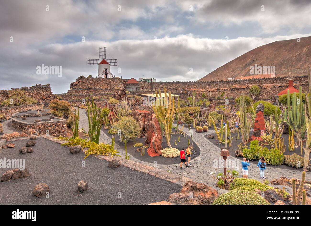 Kakteengarten auf Lanzarote Stockfoto