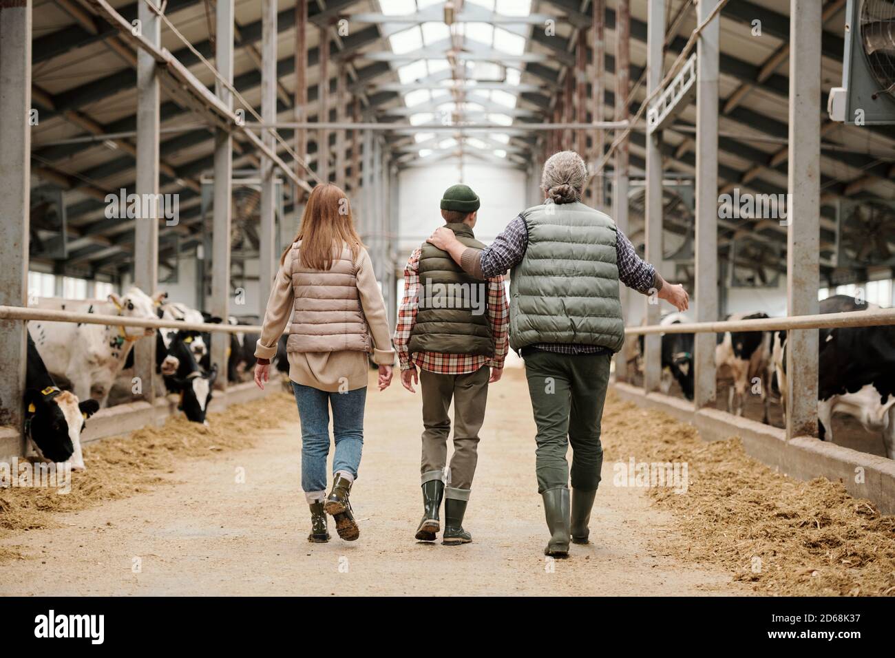 Rückansicht des Vaters zeigt auf Kühe und teilt Farm Erfahrung mit Sohn, die ganze Familie entlang Kuhstall zusammen Stockfoto