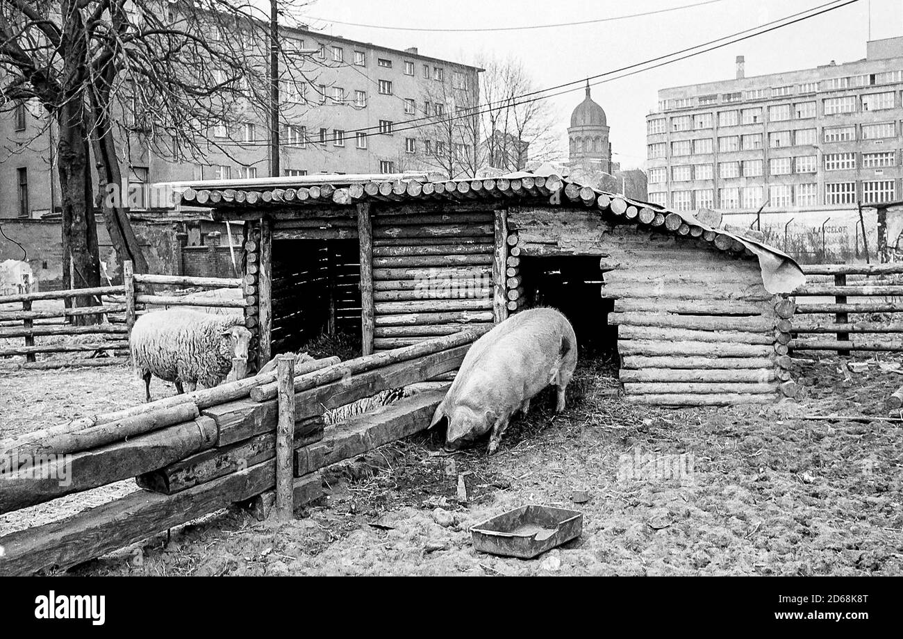 Der Hof neben der Mauer (West-Berlin) Stockfoto