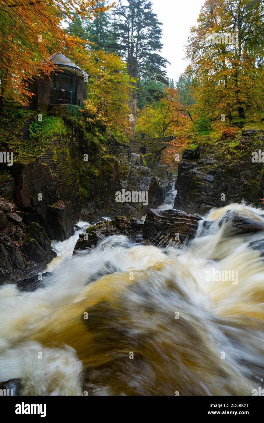 Herbstansicht von Ossian's Hall mit Blick auf die Kaskade des Black Linn Waterfall auf dem Fluss Braan in der Eremitage, Perthshire, Schottland, Großbritannien Stockfoto