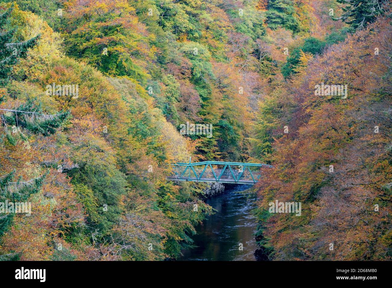 Fußgängerbrücke mit Herbstfarben auf Bäumen rund um den Fluss Garry an der Garry Bridge in der Nähe von Killiecrankie, Schottland, Großbritannien Stockfoto