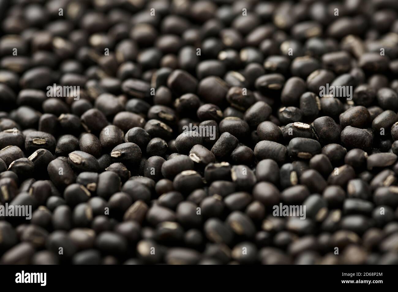 Schwarze Gram- oder Urad-Bohnen oder Mungbohnen-Textur. Vigna Mungo ist beliebte indische Küche Lebensmittel Zutat. Stockfoto