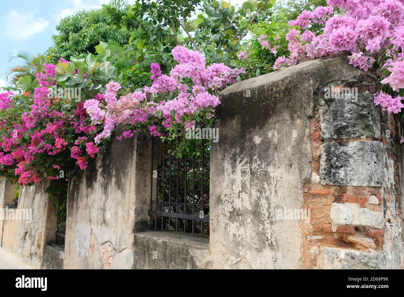 Dominikanische Republik Santo Domingo - Alte Backsteinmauer mit blühenden Blumen in der Kolonialzone Stockfoto