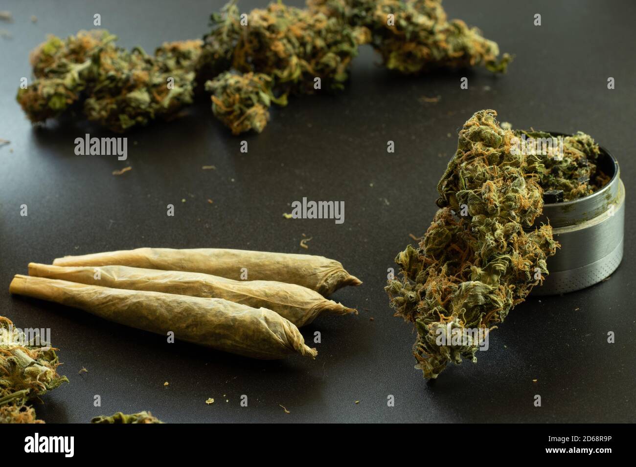 Unkrautverbindungen auf schwarzem Hintergrund mit Marihuana-Knospen und Grinder-Nahaufnahme. Legaler THC-Drogenkonsum im Gesundheitsdesign Stockfoto
