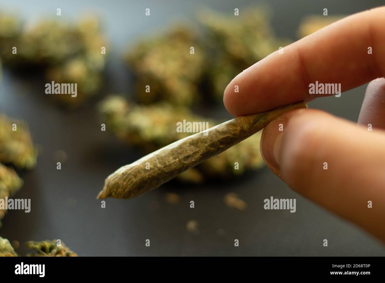 Hand mit Marihuana-Gelenk, verschwommener Hintergrund mit Cannabis-Knospen. Medizinische Droge Verwendung von Unkraut für die Selbstversorgung. Legales thc für Erholungskonzept Stockfoto