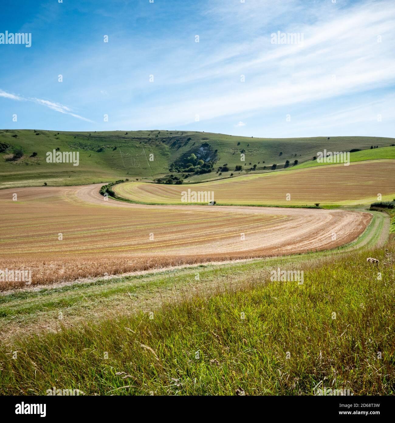 South Downs, England. Ein Blick über die ländliche Landschaft mit der alten Wahrzeichen Hügelfigur, der lange Mann von Wilmington sichtbar auf den fernen Hängen. Stockfoto