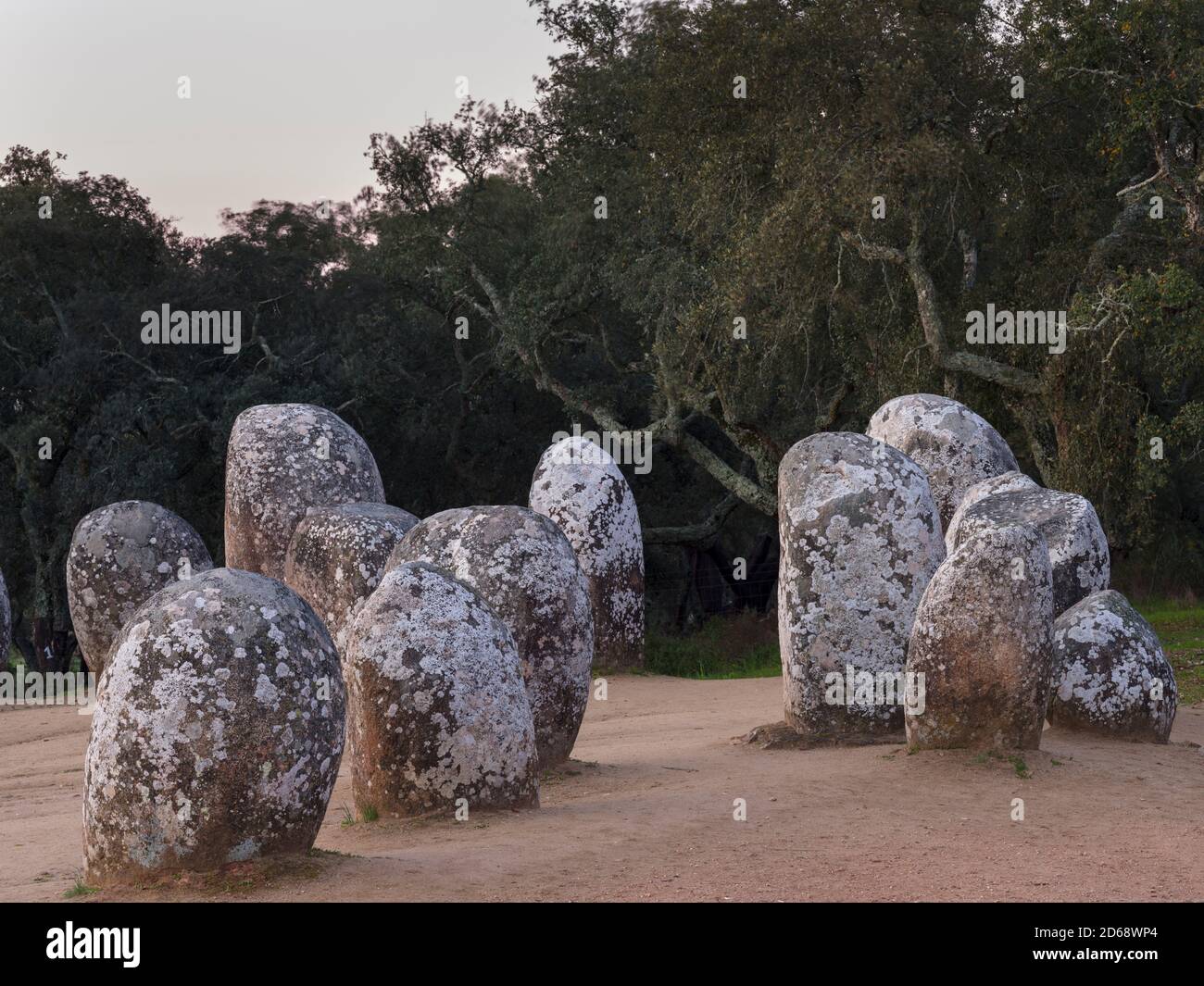 Almendres Cromlech (Cromeleque dos Almendres), ein ovaler Steinkreis aus der späten jungsteinzeit oder frühen Kupferzeit. Europa, Südeuropa, P Stockfoto