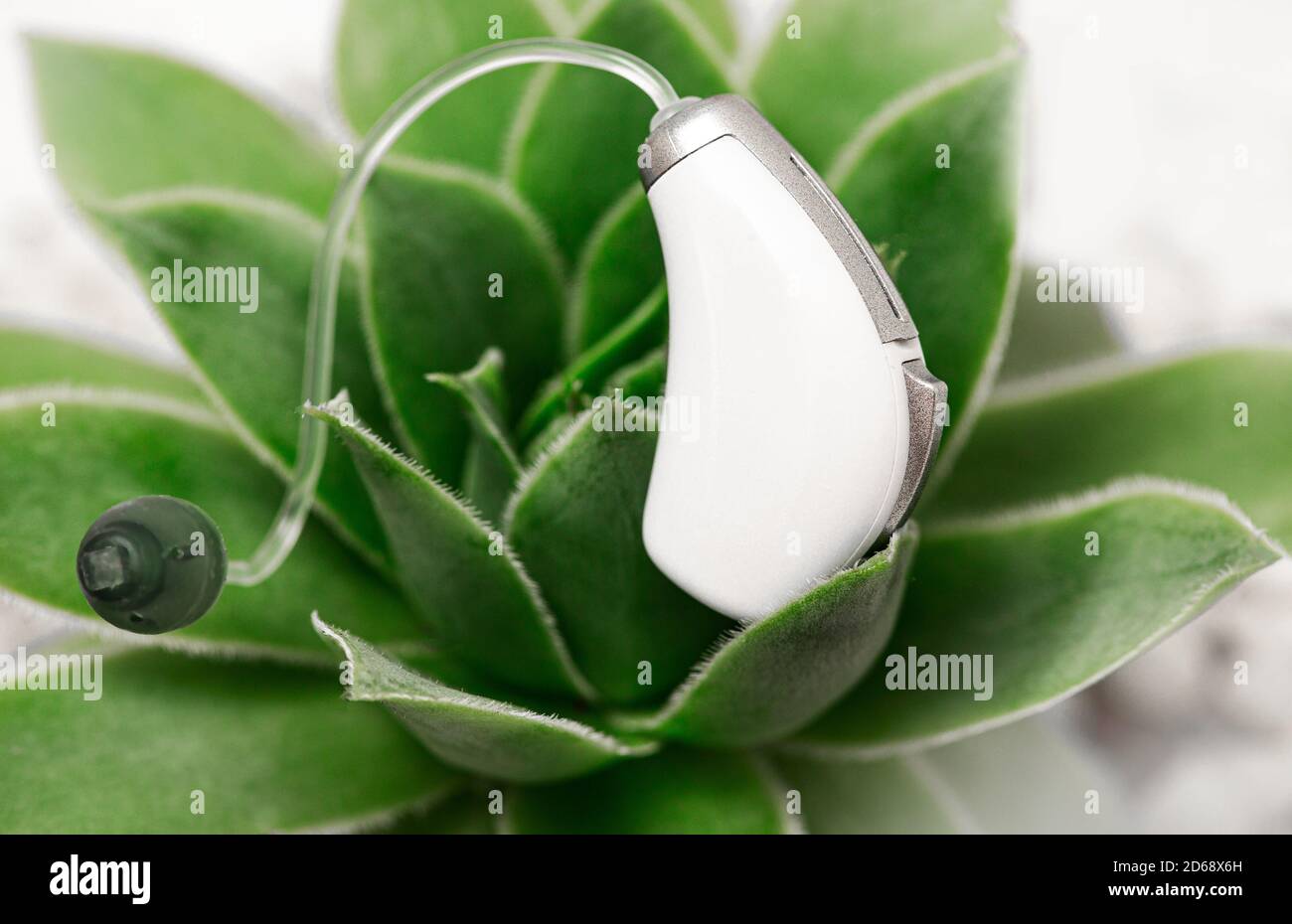 Hörgerät Nahaufnahme auf grünen Blättern. Behandlung von Taubheit. Hörlösung, hören Sie die ganze Vielfalt der Klänge in der Welt Stockfoto