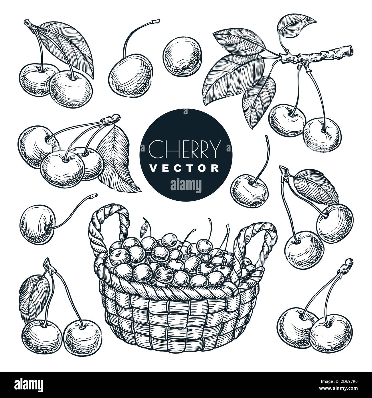 Kirschbeeren Skizze Vektor Illustration. Süße Beeren ernten im Holzkorb. Handgezeichnete Garten Landwirtschaft und Bauernhof isoliert Design-Elemente. Stock Vektor