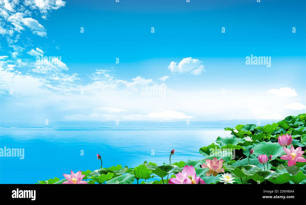 Blumenwiese und teich Stockfotos und bilder Kaufen Alamy