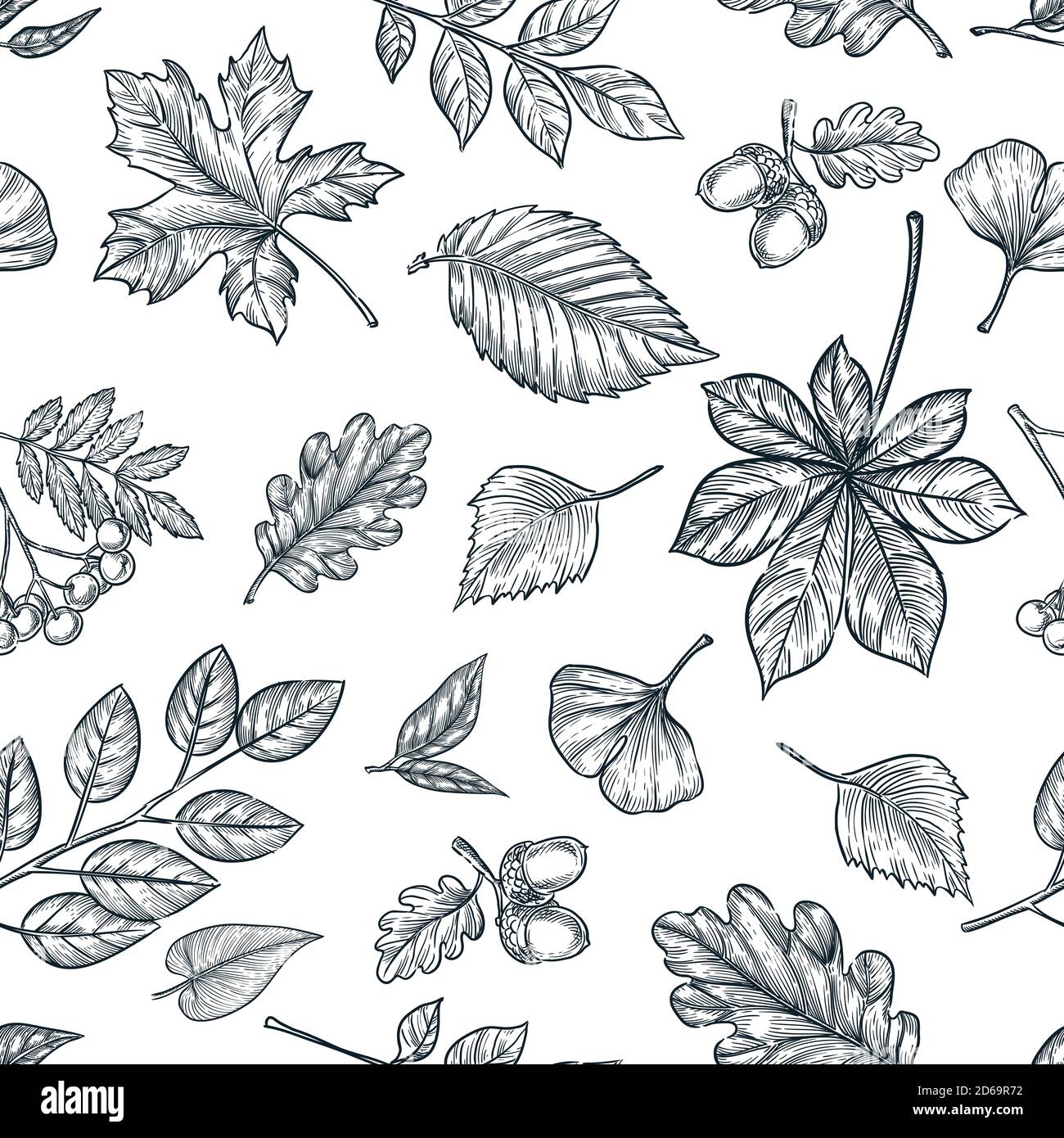 Herbst schwarz weiß Umriss Blätter nahtlose Muster. Vektor handgezeichnete Skizze Illustration von Waldpflanzen. Herbst Natur Hintergrund Design. Modische Mode Stock Vektor