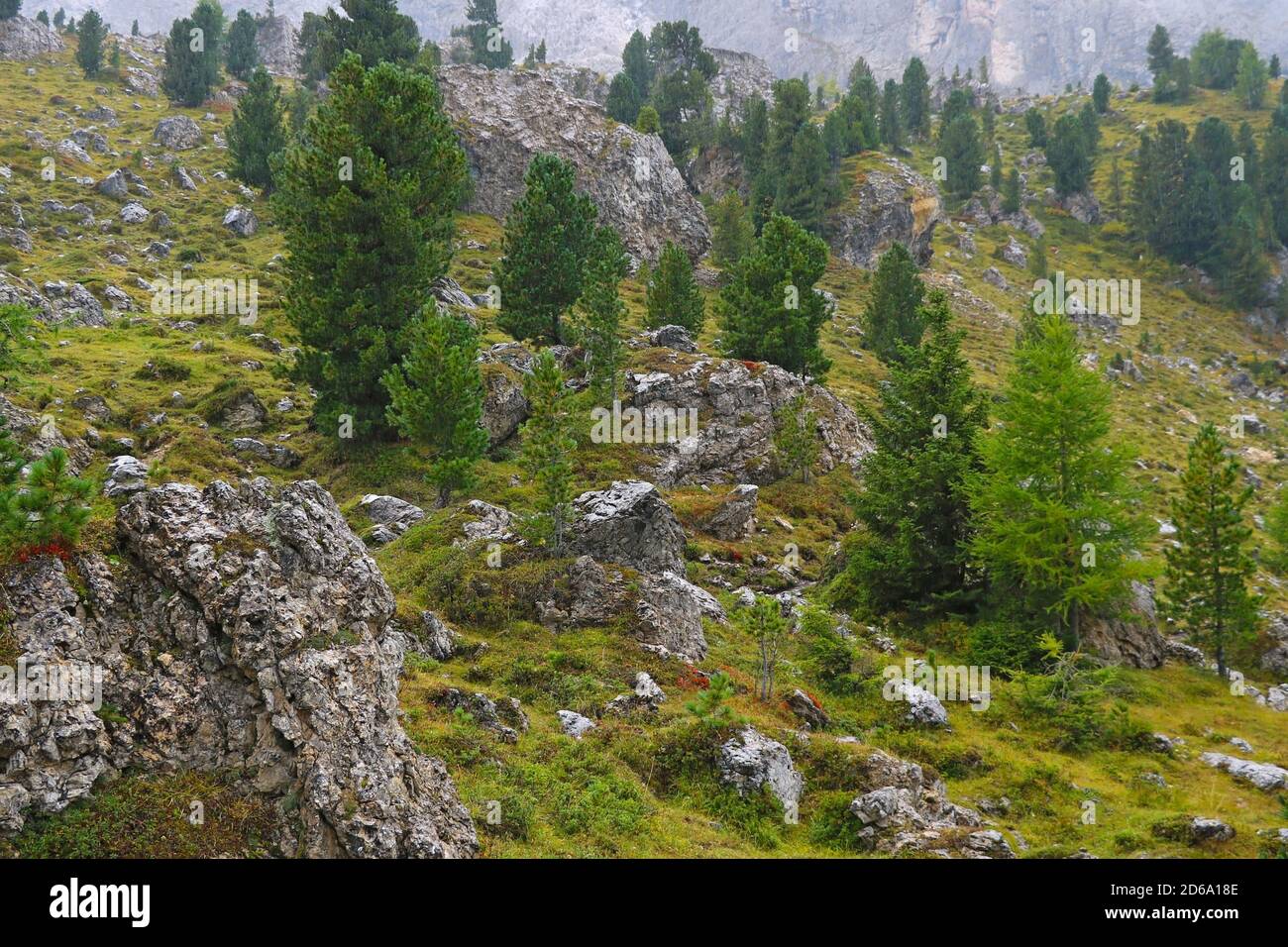 Die Dolomiten sind ein Gebirgsmassiv im Nordosten Italiens. Sie bilden einen Teil der südlichen Kalkalpen Stockfoto