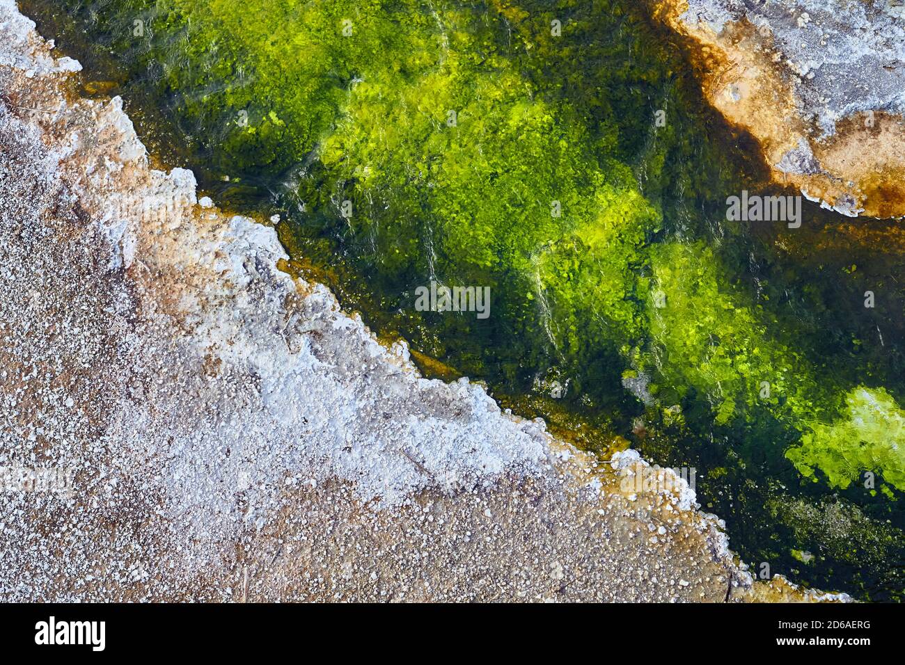 Nahaufnahme eines heißen Quellrands im Yellowstone National Park, abstrakter Naturhintergrund, USA. Stockfoto