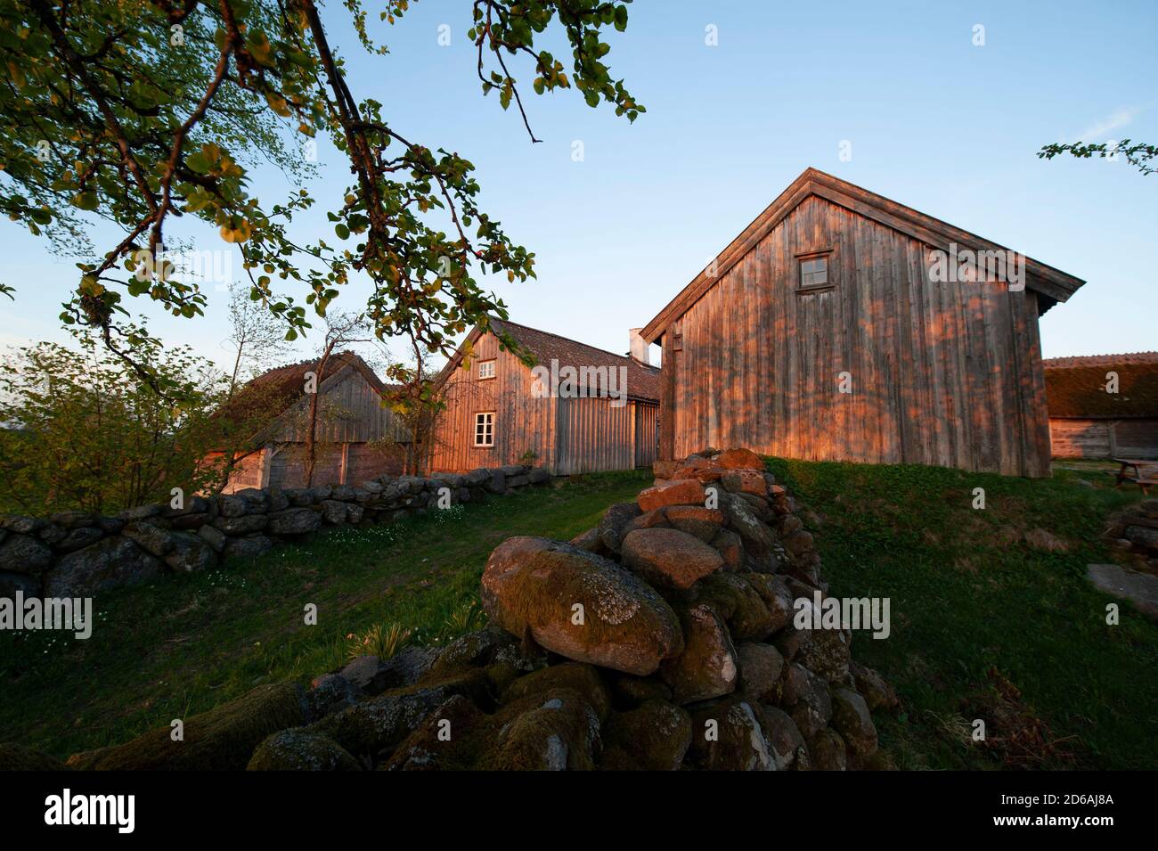 Geschichte, Wissen, Untersuchung, Vergangenheit, Ereignisse, Gedächtnis, Entdeckung, Historiker, Stockfoto