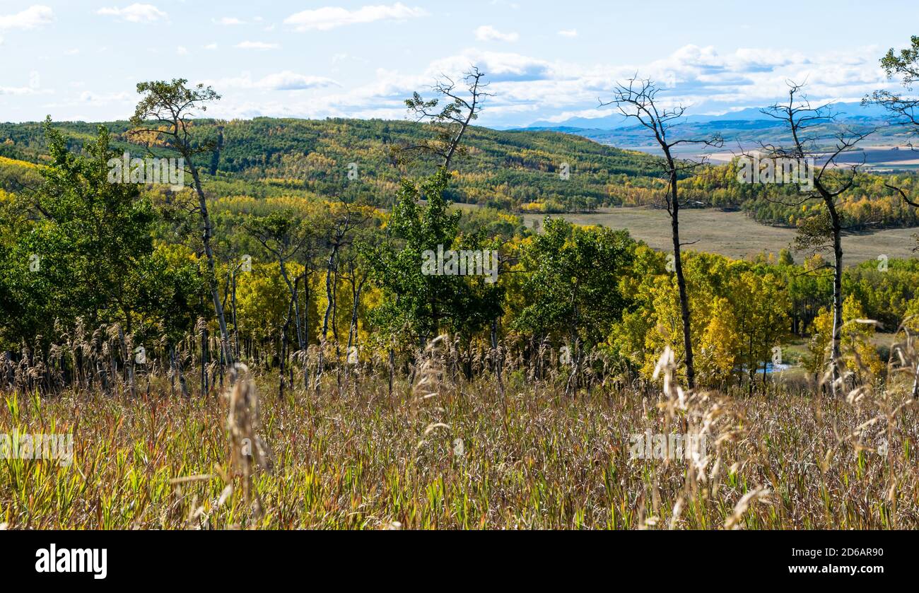 Alberta Ausläufern Stockfoto