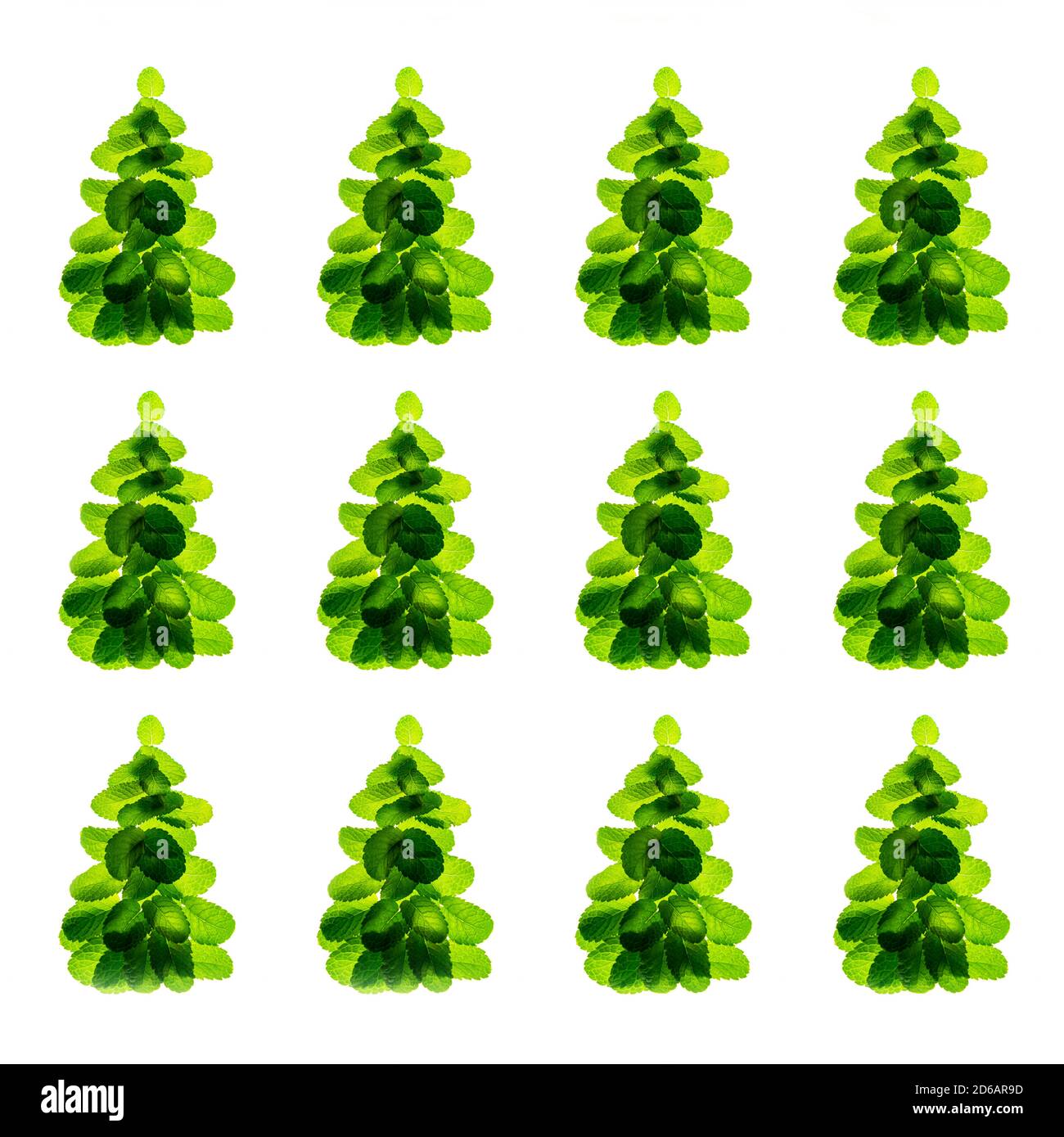 Feiertagsmuster aus frischen grünen Minzblättern als Weihnachtsbaum auf weißem Hintergrund, isoliert. Weihnachten, Neujahr Winter kreatives Konzept. Nahaufnahme, flach liegend, Draufsicht. Stockfoto