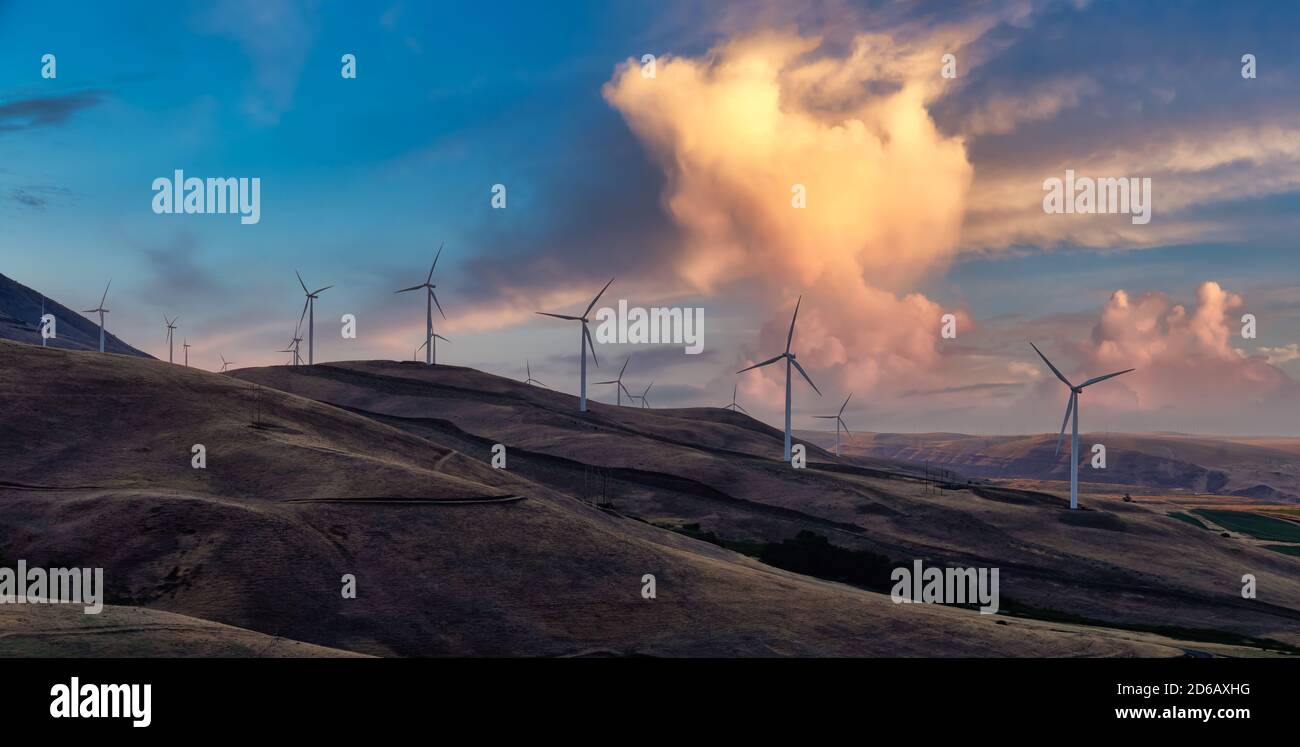 Wunderschöne Panoramaaussicht auf Windenergieanlagen Stockfoto