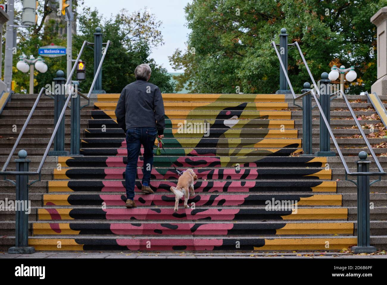 Mann, der Hund geht nach oben auf Kunst gemalte Schritte mit Entwurf einer Gans in Ottawa Stockfoto