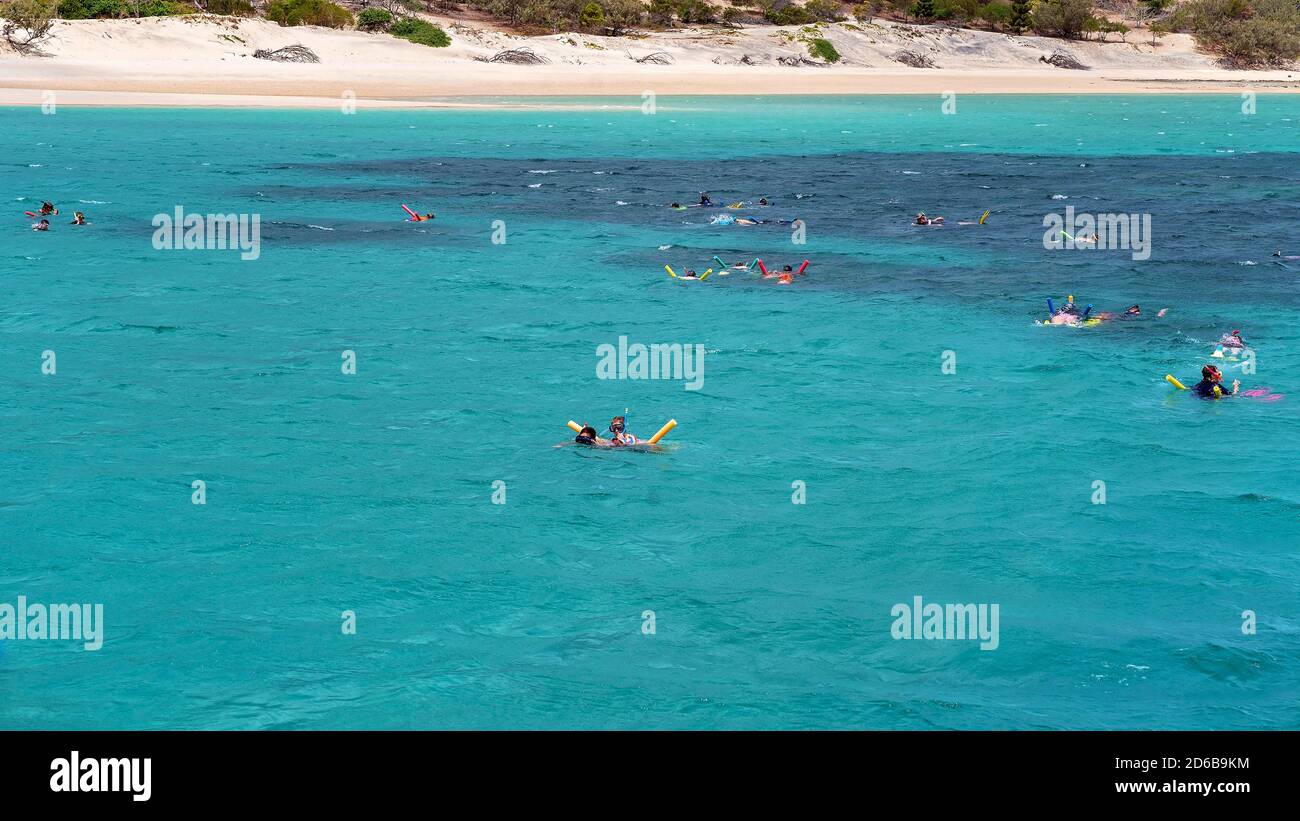 Yeppoon, Queensland, Australien - Dezember 2019: Schnorchler anzeigen Der Underwater Coral Reef in der Nähe von Great Keppel Island am Great Barrier Reef in Australien Stockfoto