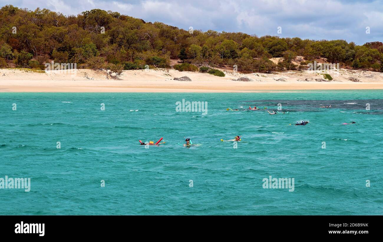 Yeppoon, Queensland, Australien - Dezember 2019: Schnorchler anzeigen Der Underwater Coral Reef in der Nähe von Great Keppel Island am Great Barrier Reef in Australien Stockfoto