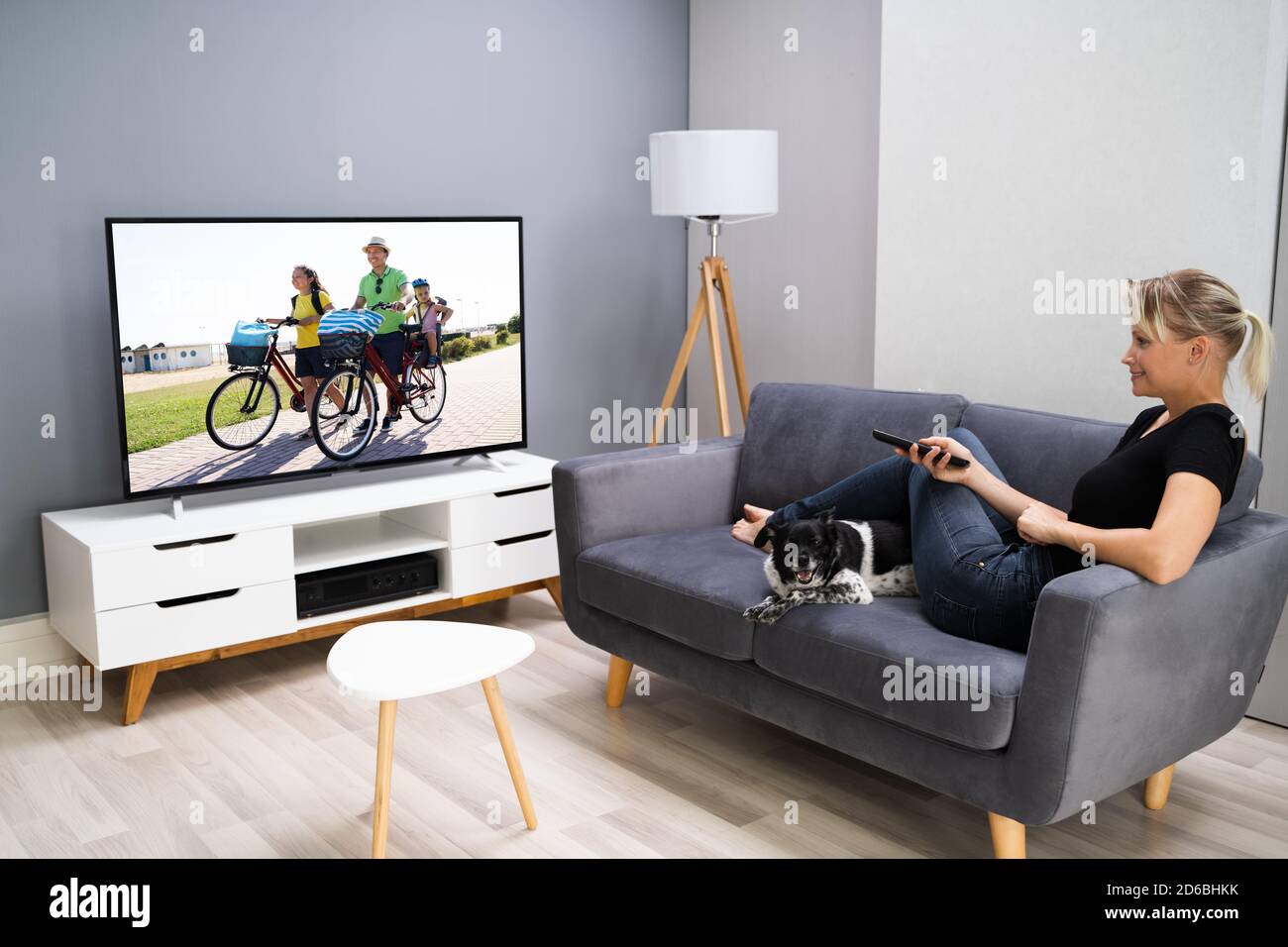 Fernsehen Film im Hauszimmer mit Hund Stockfoto