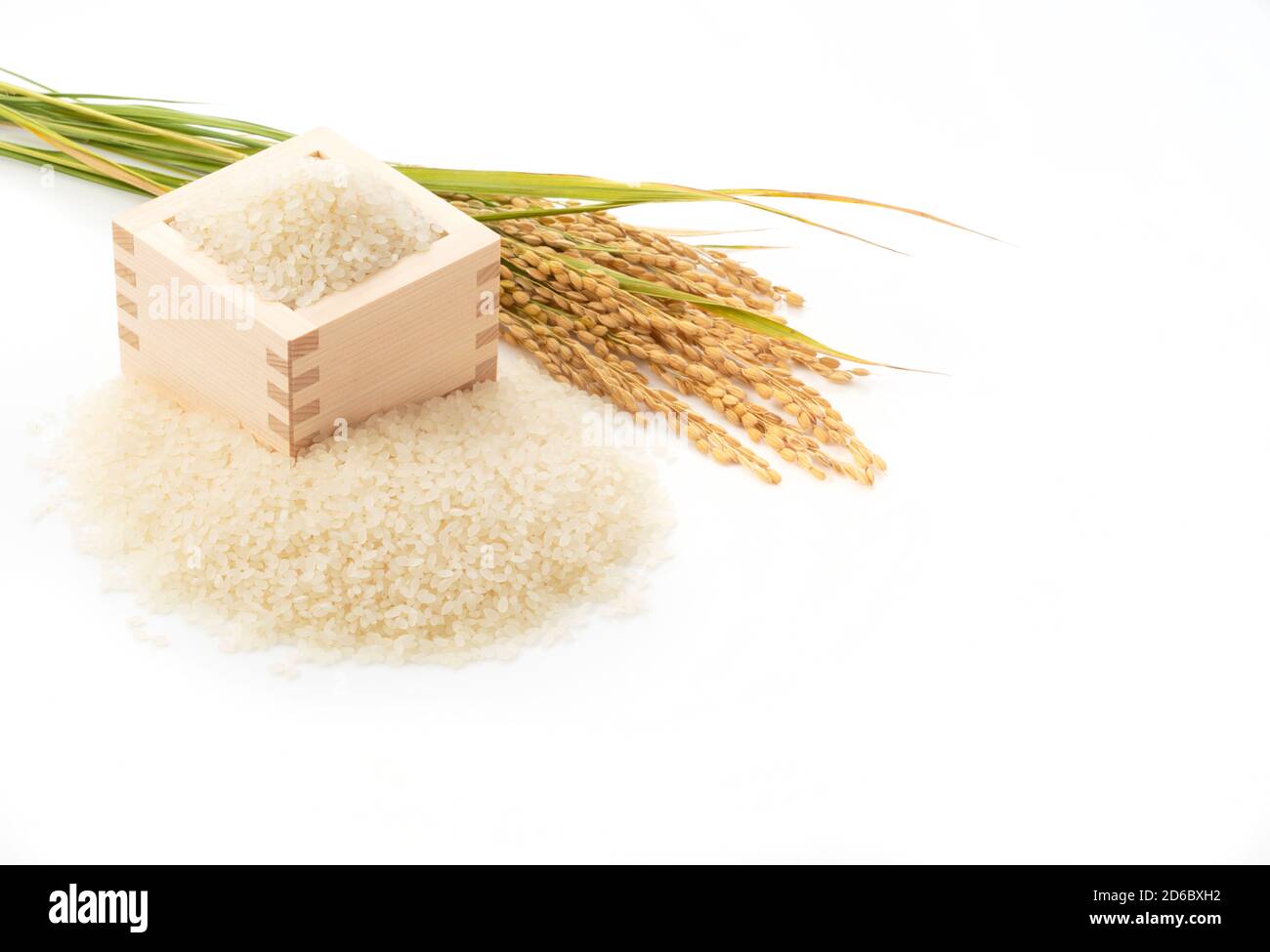 Weißer Reis, Quadrate und Reisohren auf weißem Hintergrund mit Platz Stockfoto