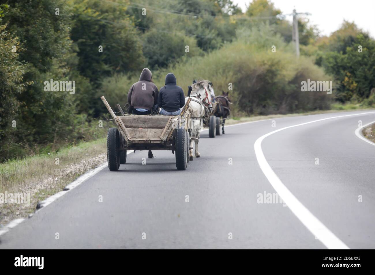 Roma fahren einen Pferdewagen auf einer öffentlichen Straße. Stockfoto