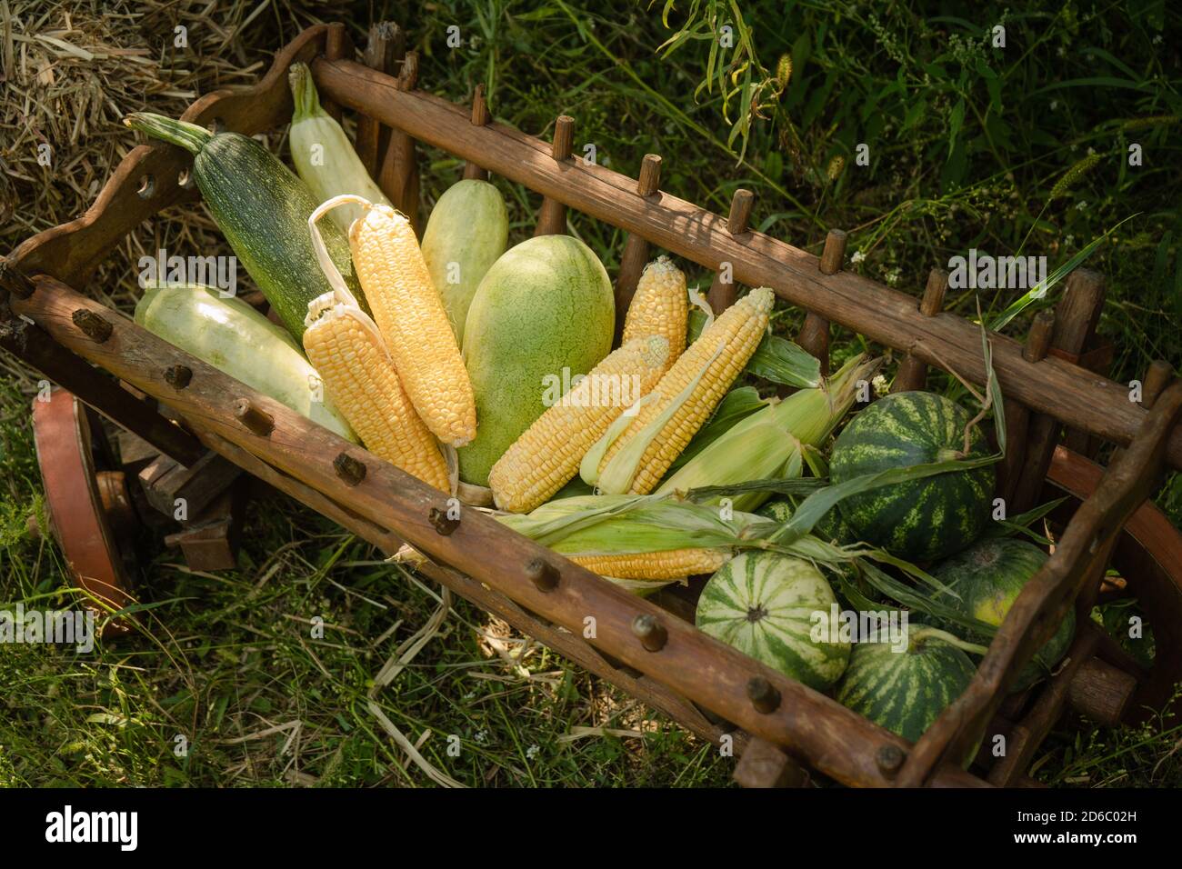 Herbsterntekonzept. Melone, Zucchini, Wassermelone in alten Holzwagen auf grünem Gras. Nahaufnahme. Draufsicht Stockfoto