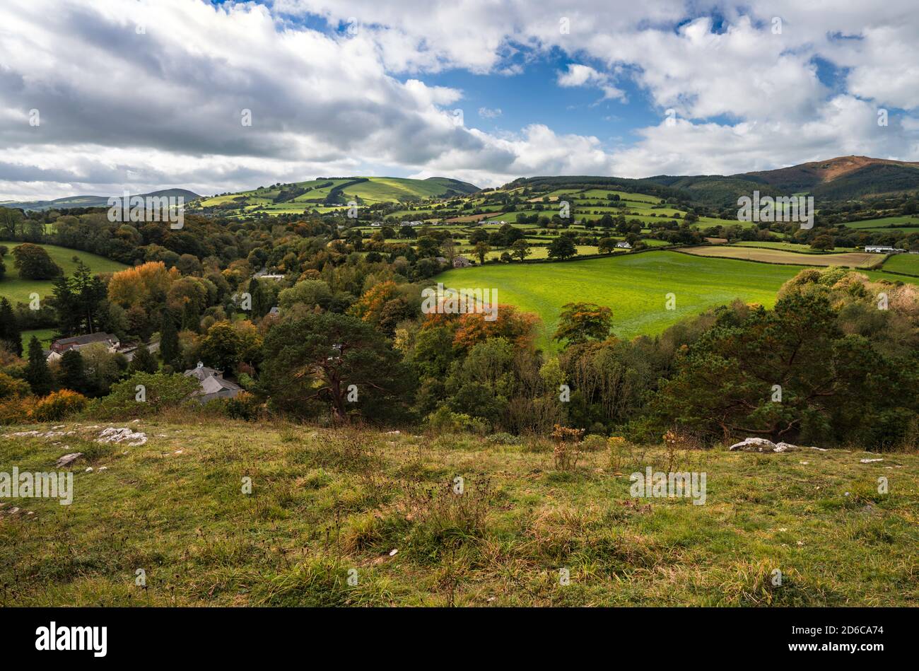 Der Leete-Pfad im Loggerheads Country Park, Denbighshire, North Wales Großbritannien. Stockfoto