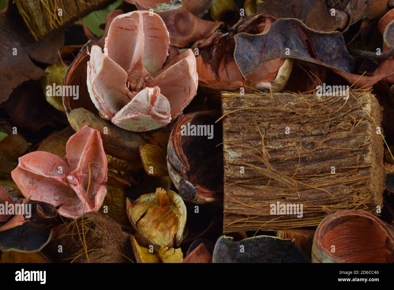 Abstrakter Hintergrund mit aromatischen getrockneten Blumen, Pflanzenteilen und Kokosnuss Coir. Makro-Foto für Wallpaper oder Texturen Stockfoto