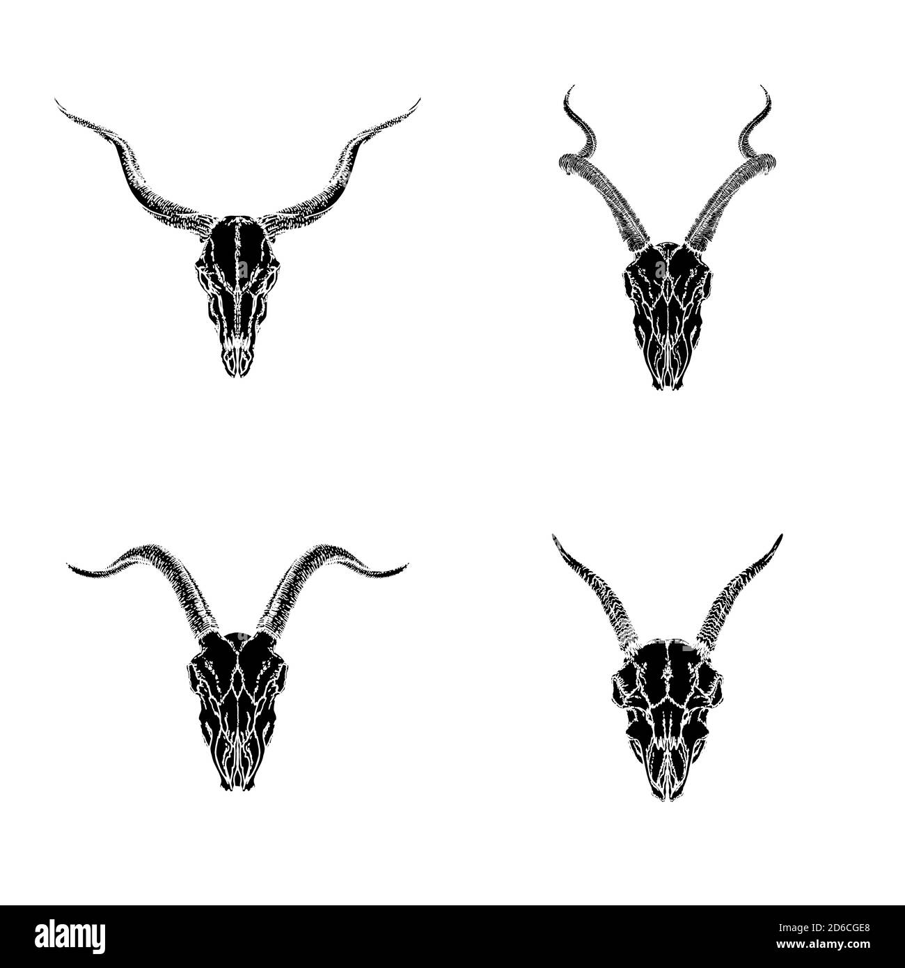 Vektor-Set von handgezeichneten Schädeln von gehörnten Tieren: Antilopen und Ziegen auf weißem Hintergrund. Schwarze Silhouetten. Für Sie entwerfen, drucken, Tattoo oder Magie Stock Vektor