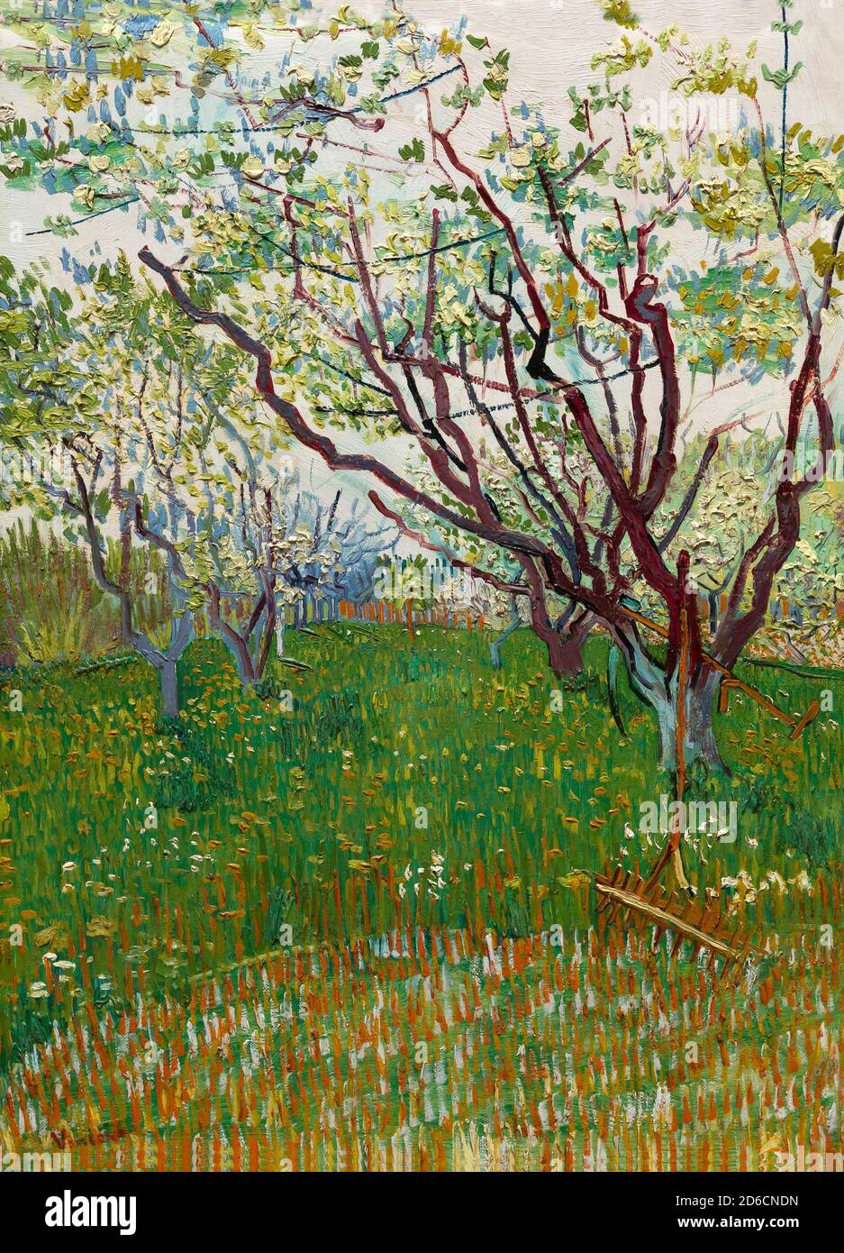 The Flowering Orchard, Vincent van Gogh, 1888, Metropolitan Museum of Art, Manhattan, New York City, USA, Nordamerika Stockfoto